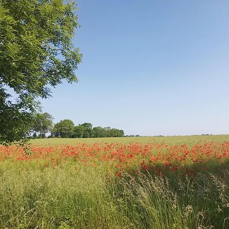 Meeresstrand - Chic & Renoviert! *